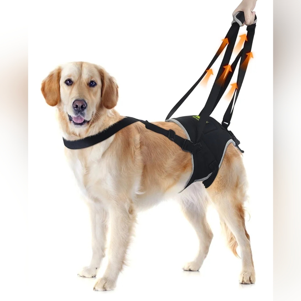 XL Dog Lift Harness, Dog Sling with Padded, Hind Leg Support